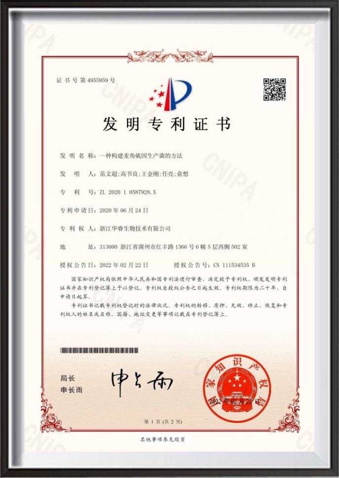 荣誉证书2